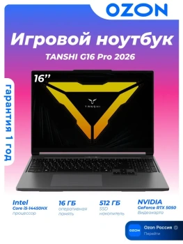 Ноутбук TANSHI G16 Pro 2026 игровой 16", Intel Core i5-14450HX, RAM 16 ГБ, SSD 512 ГБ, NVIDIA GeForce RTX 5050 для ноутбуков (8 Гб), Без системы, (G16